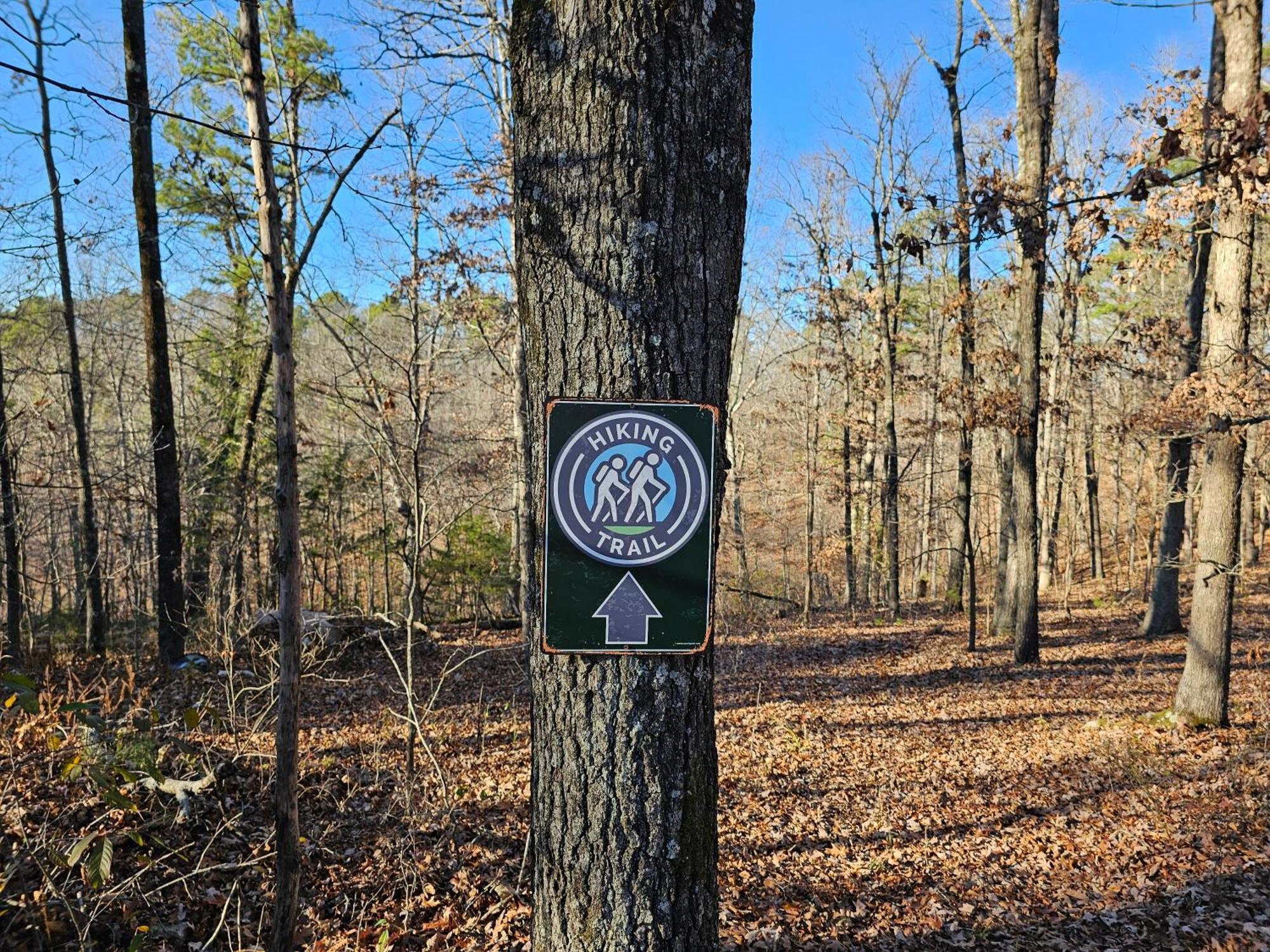 5 Min To Beaver Lake-King Bed-Fire Pit-Jetted Tub #4 尤里卡斯普林斯 外观 照片